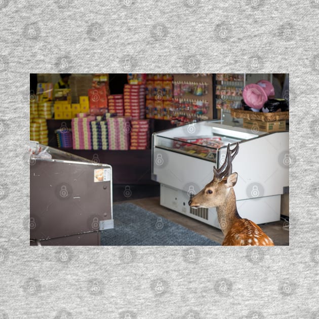 A deer giving me the disappointed look for spoiling its chance of sneaking into the store by AvonPerception